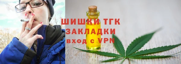 МДПВ Липки
