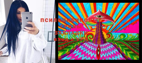 МДПВ Липки