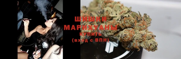 дмт Ладушкин