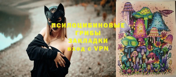 Альфа ПВП Лиски