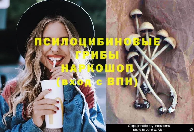 Псилоцибиновые грибы MAGIC MUSHROOMS  Вилюйск 