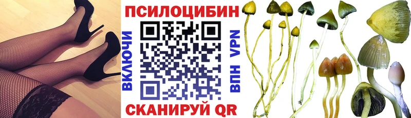 блэк спрут ССЫЛКА  где продают наркотики  Вилюйск  Псилоцибиновые грибы прущие грибы 